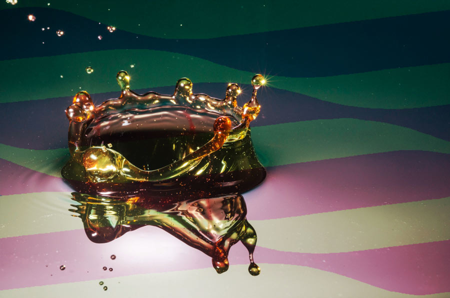 Nota de prensa de la Plataforma ante las elecciones en Aragón