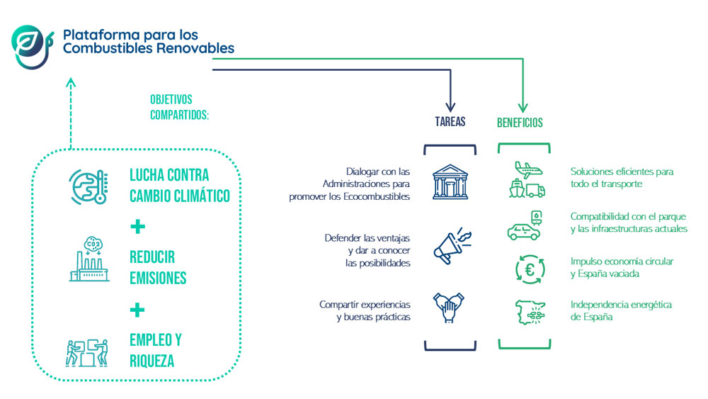 Infografía-resumen-PCR-01